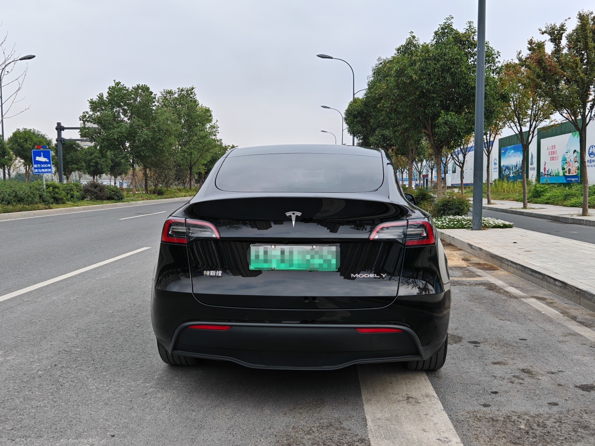 特斯拉 Model Y  2023款 煥新版 后輪驅(qū)動圖片