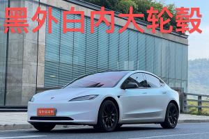 Model Y 特斯拉 后輪驅(qū)動版