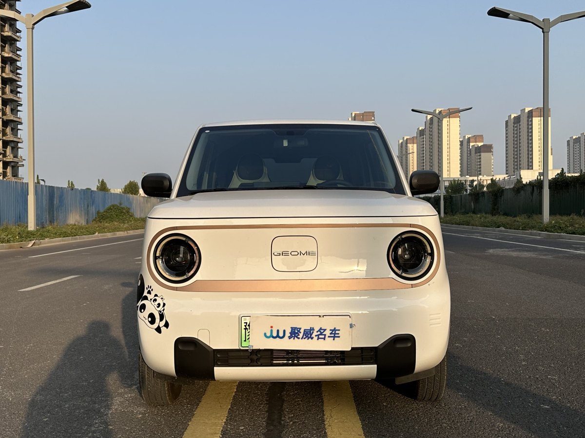 2024年7月吉利 熊貓mini  2023款 200km 耐力熊