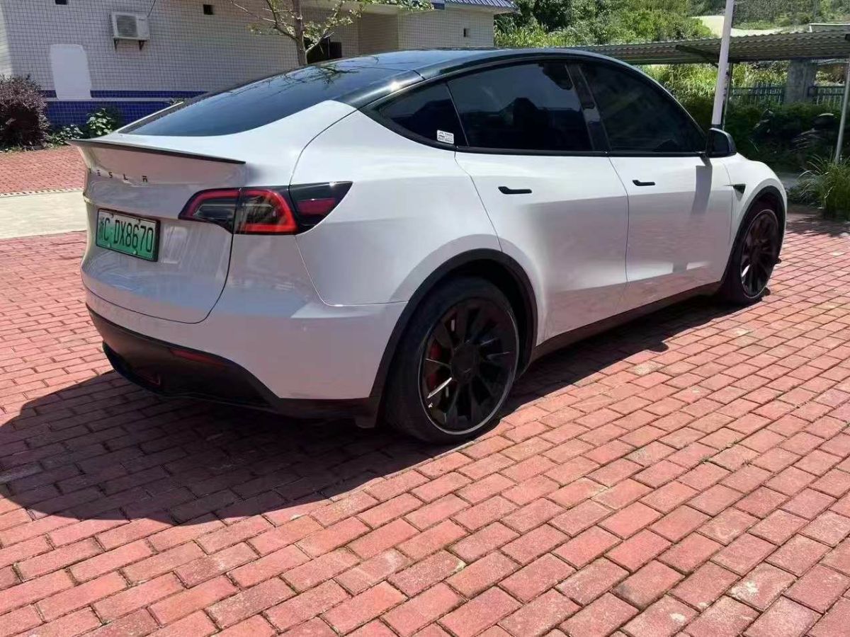 特斯拉 Model Y  2022款 Performance高性能全輪驅(qū)動(dòng)版圖片