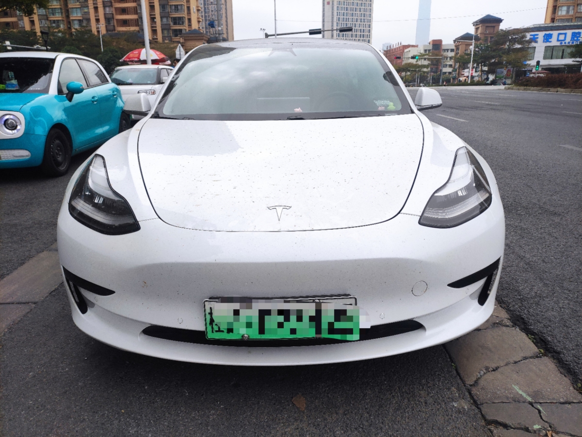 特斯拉 Model 3  2019款 標準續(xù)航后驅升級版圖片