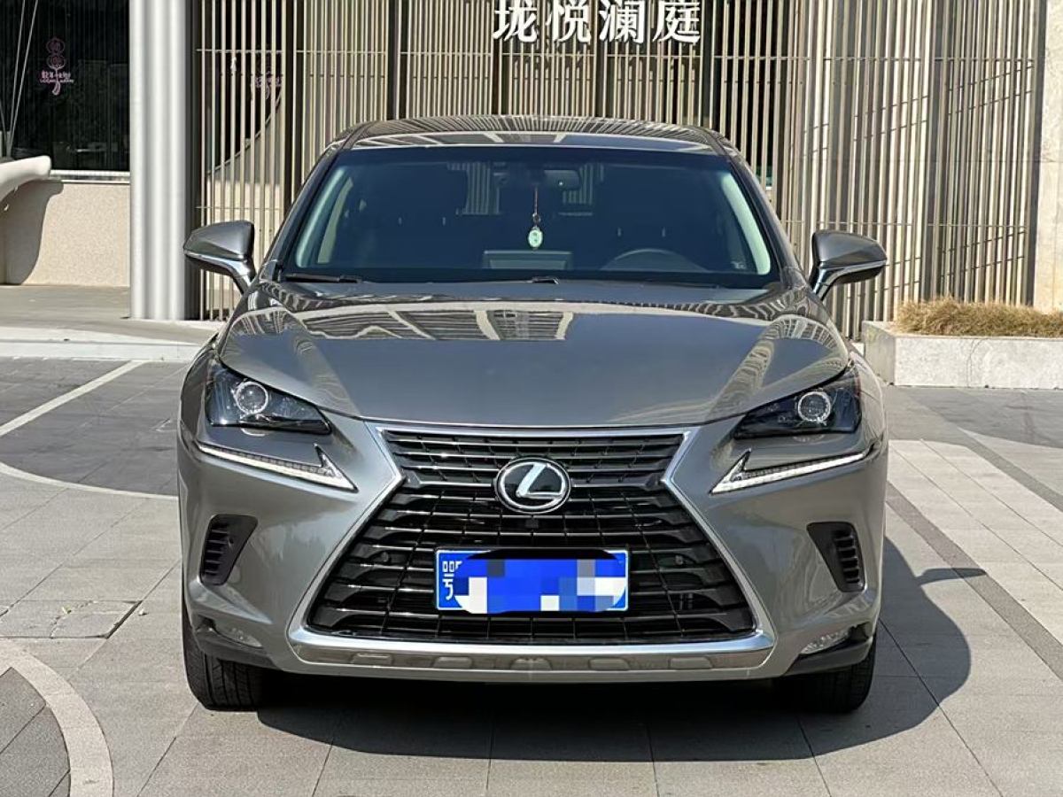 雷克薩斯 NX  2018款 300 前驅(qū) 鋒行版圖片