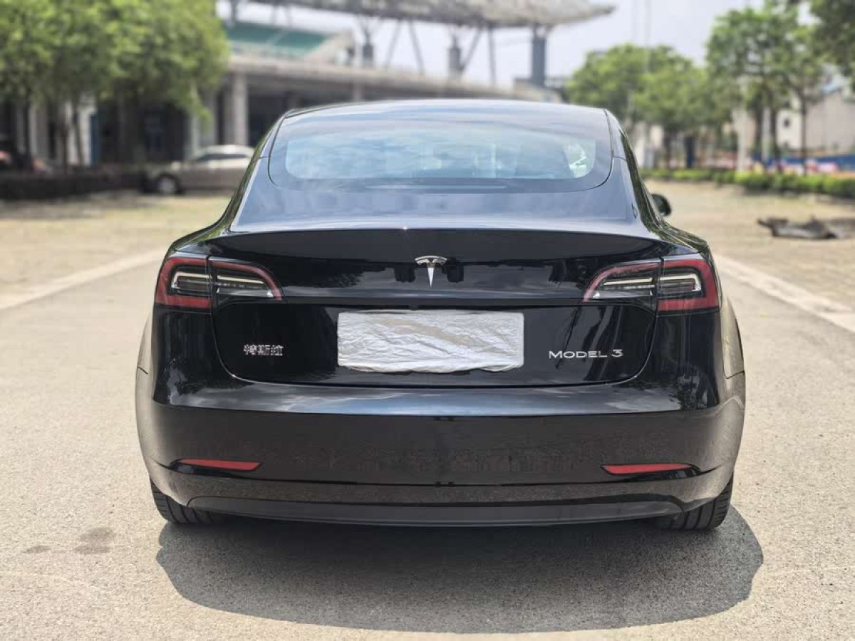 特斯拉 Model 3  2020款 改款 標準續(xù)航后驅升級版圖片