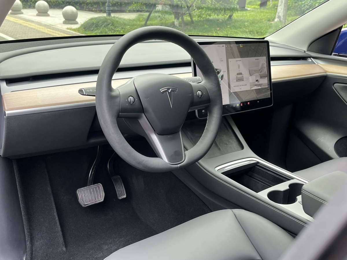 特斯拉 Model Y  2021款 標(biāo)準(zhǔn)續(xù)航后驅(qū)版圖片