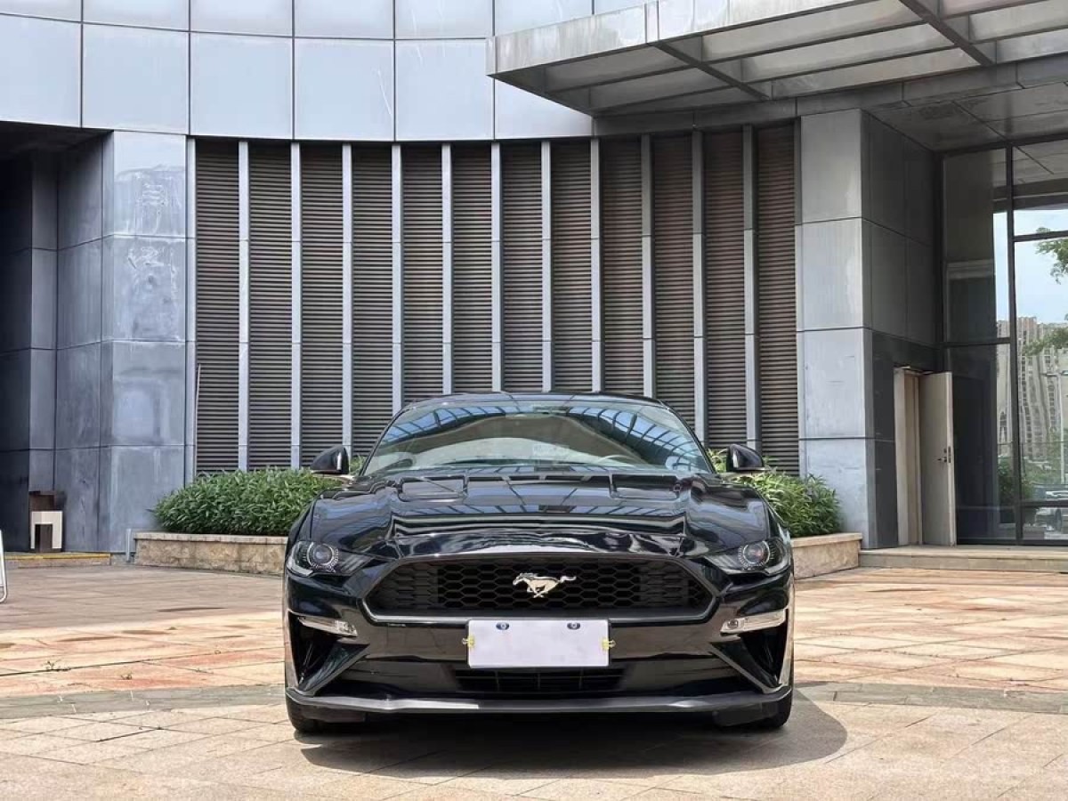 福特 Mustang  2020款 2.3L EcoBoost圖片