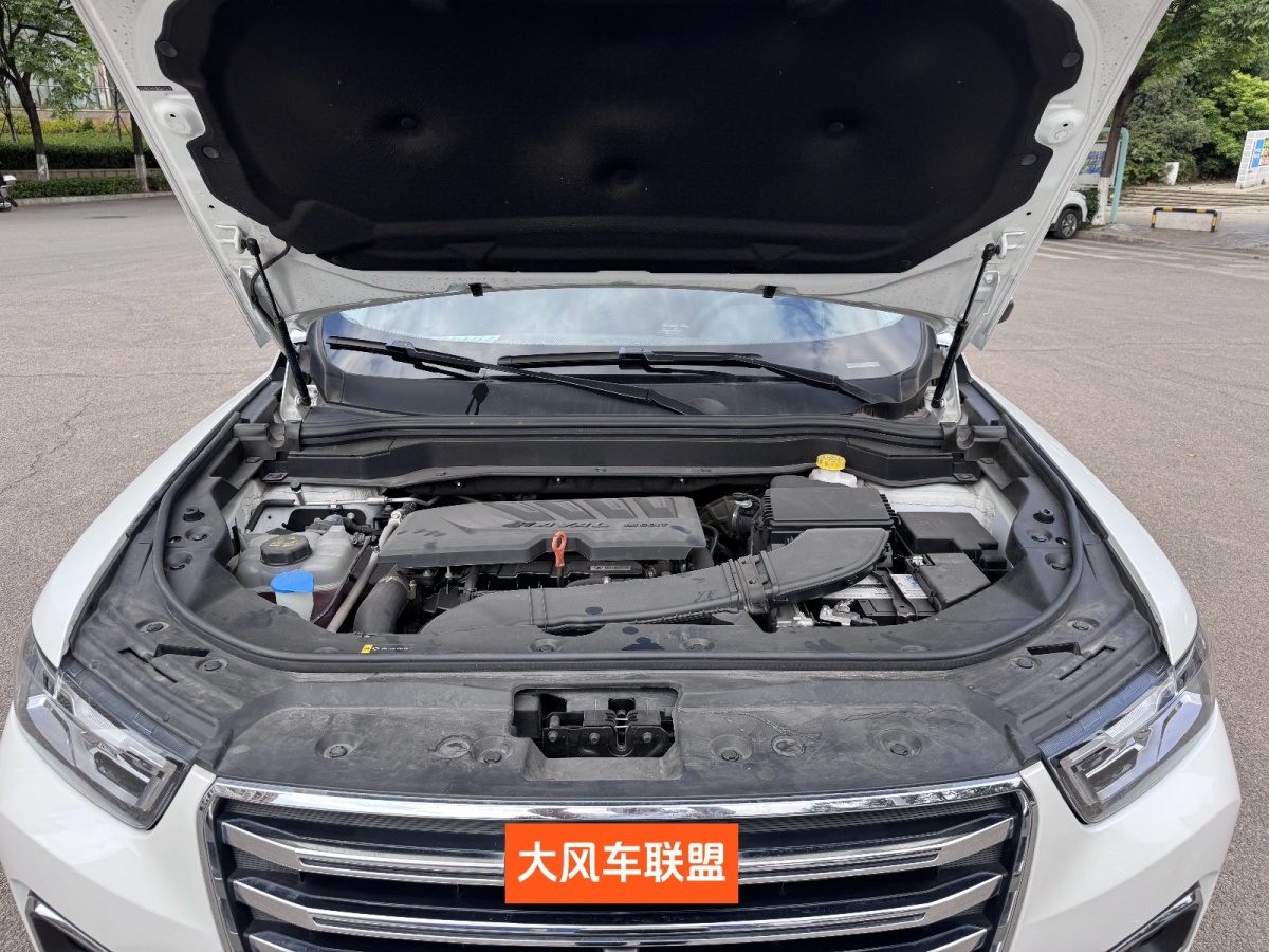 哈弗 H6  2019款  1.5GDIT 自動(dòng)冠軍版 國(guó)VI圖片