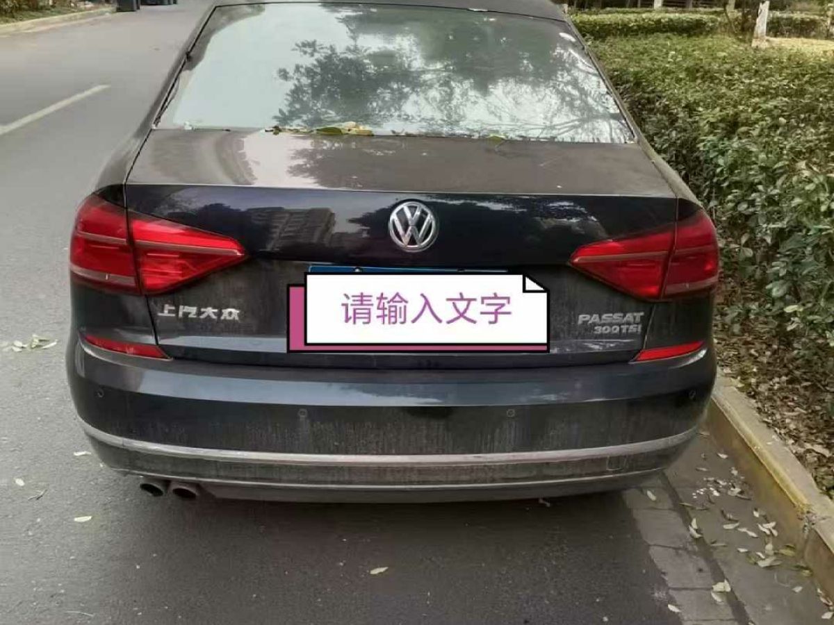 大眾 帕薩特  2017款 280TSI DSG尊雅版圖片