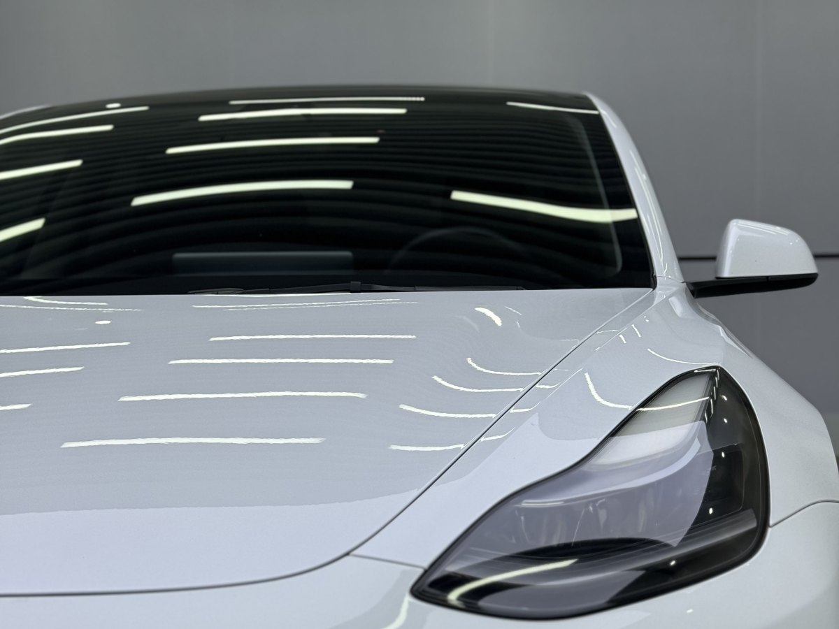 特斯拉 Model 3  2019款 標(biāo)準(zhǔn)續(xù)航后驅(qū)升級版圖片