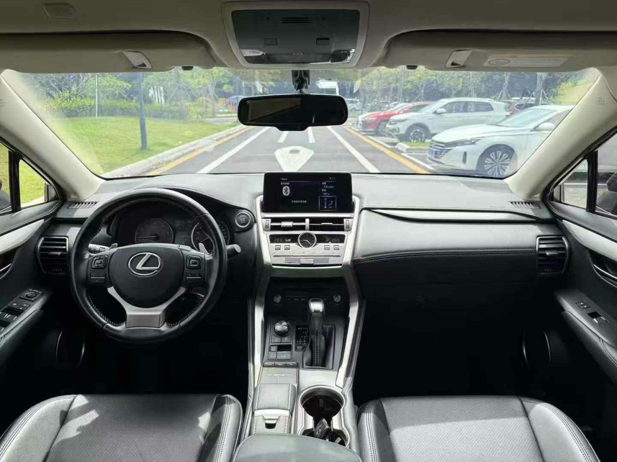 雷克薩斯 NX  2019款 300h 百萬(wàn)紀(jì)念限量版 國(guó)VI圖片