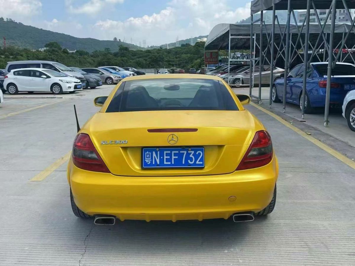 奔馳 奔馳SLK級  2008款 SLK 280 PASSION圖片