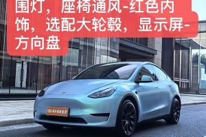 Model Y 特斯拉 后轮驱动版