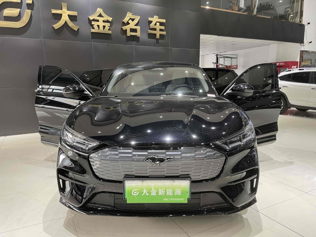 福特 Mustang Mach-E  2021款 長(zhǎng)續(xù)航后驅(qū)版圖片