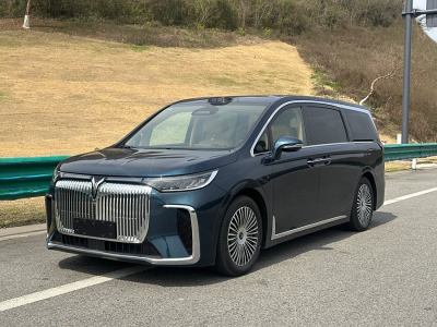 2025年3月 嵐圖 夢(mèng)想家 PHEV 四驅(qū)旗艦乾??版圖片