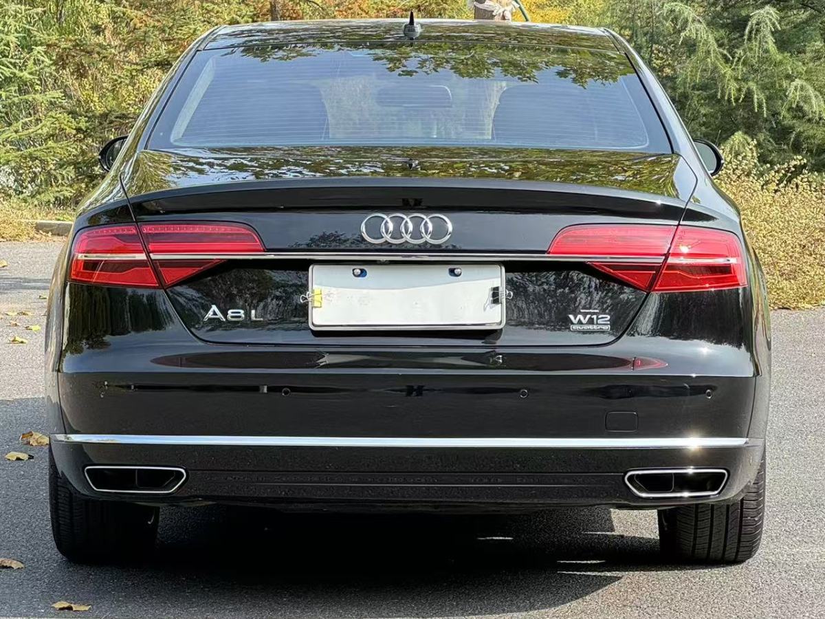 奧迪 奧迪A8  2014款 A8L 45 TFSI quattro豪華型圖片