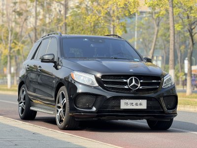 2017年5月 奔馳 奔馳GLE AMG AMG GLE 43 4MATIC圖片