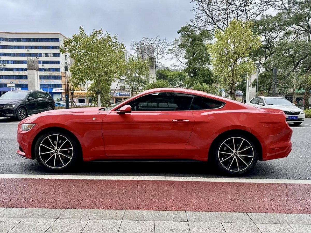 福特 Mustang  2016款 2.3T 性能版圖片