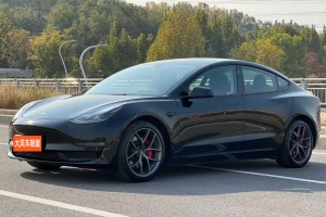 Model 3 特斯拉 Performance高性能全輪驅(qū)動(dòng)版
