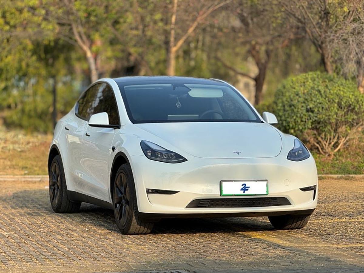 特斯拉 Model Y  2024款 長續(xù)航全輪驅(qū)動(dòng)版圖片