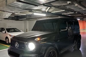 奔馳G級(jí) 奔馳 G 55 AMG