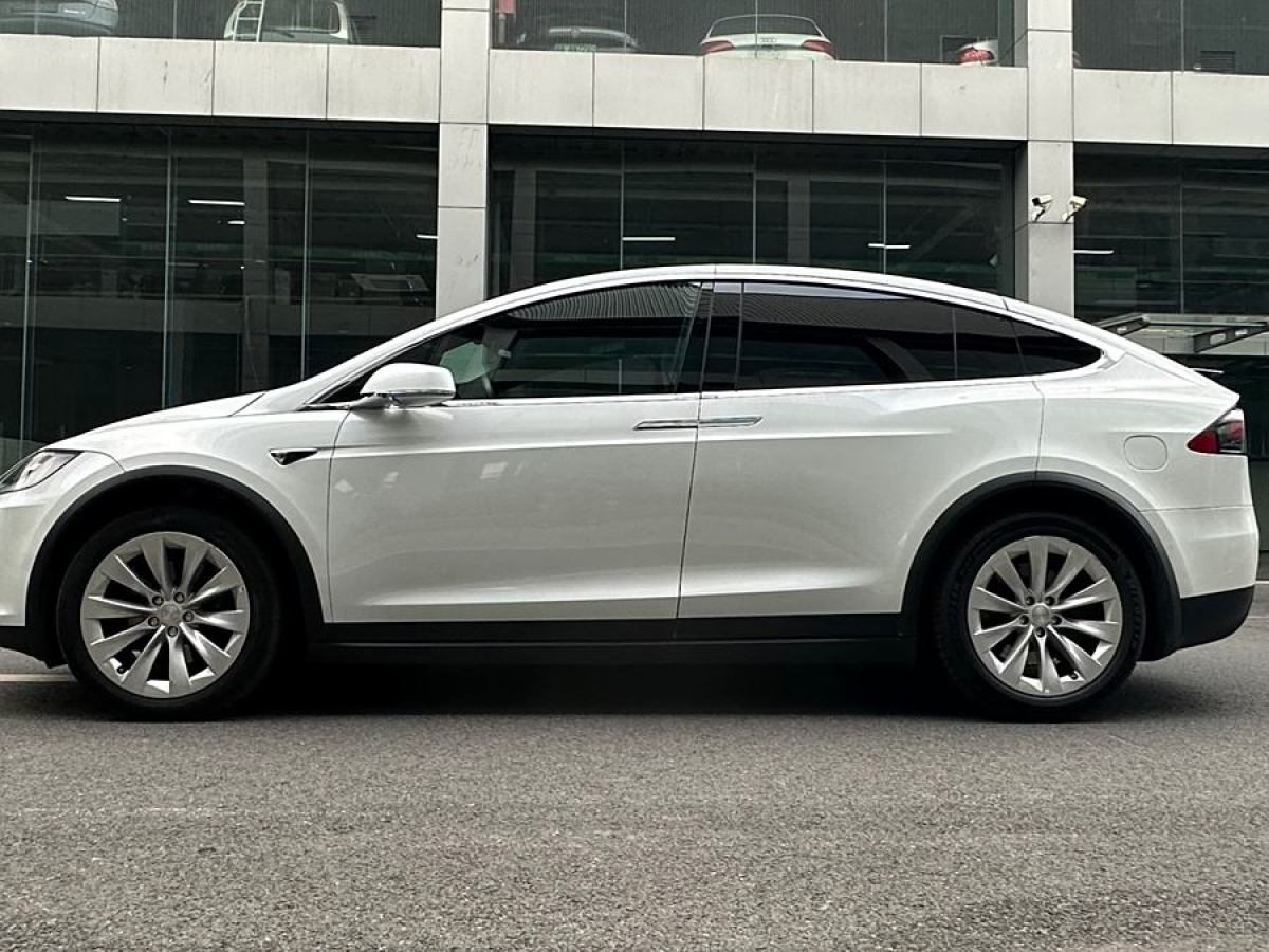 特斯拉 Model X  2020款 長續(xù)航升級版圖片