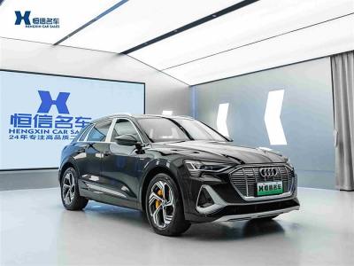 2021年7月 奧迪 奧迪e-tron 50 quattro 臻選型圖片