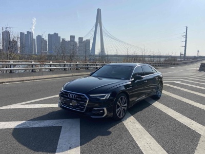 2023年1月 奥迪 奥迪A6L 改款 45 TFSI 臻选动感型图片