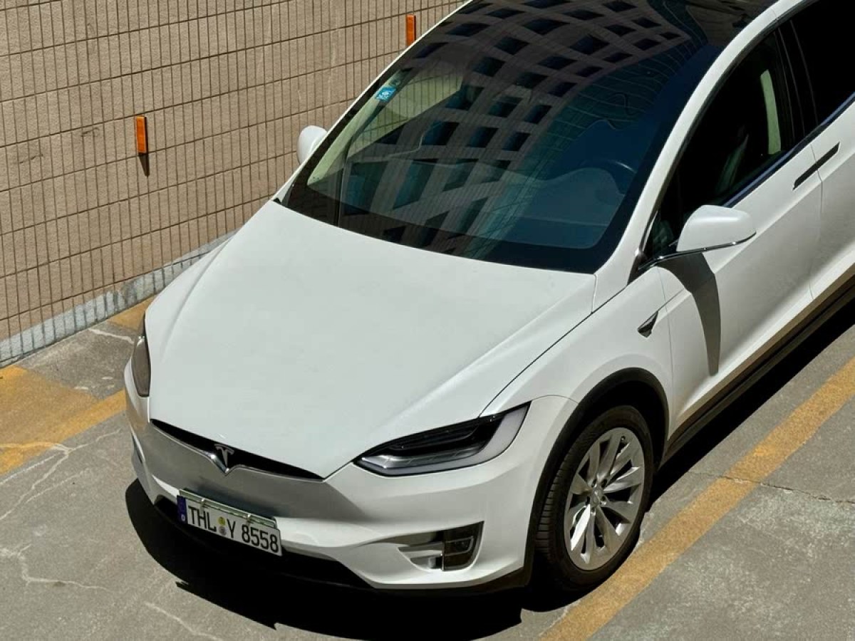 特斯拉 Model X  2016款 Model X 75D圖片