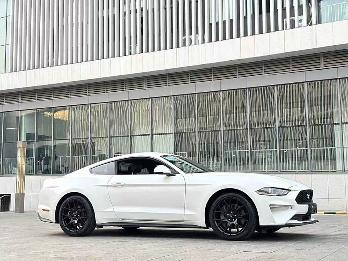 福特 Mustang  2019款 2.3L EcoBoost圖片