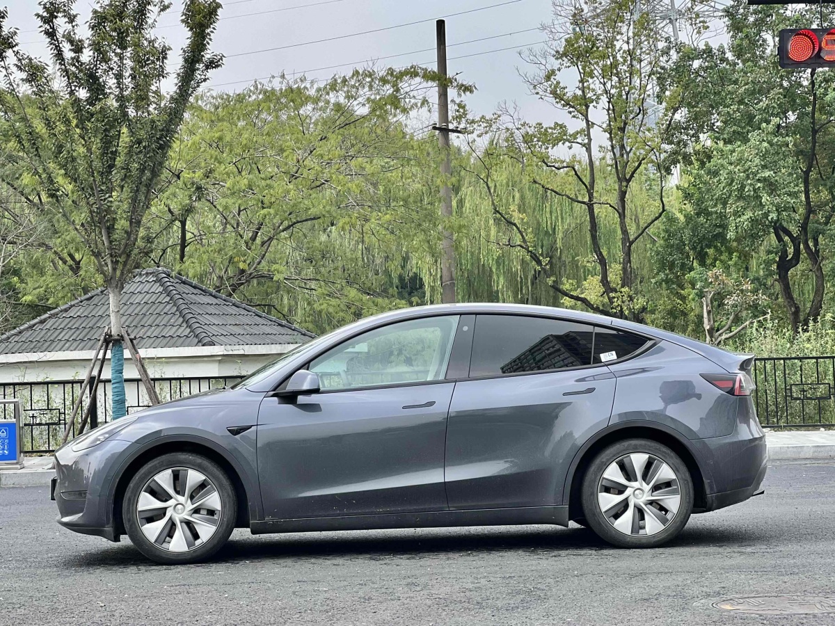 特斯拉 Model Y  2021款 改款 標準續(xù)航后驅(qū)升級版圖片