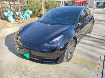 2020年9月 特斯拉 Model 3 改款 標(biāo)準(zhǔn)續(xù)航后驅(qū)升級(jí)版圖片