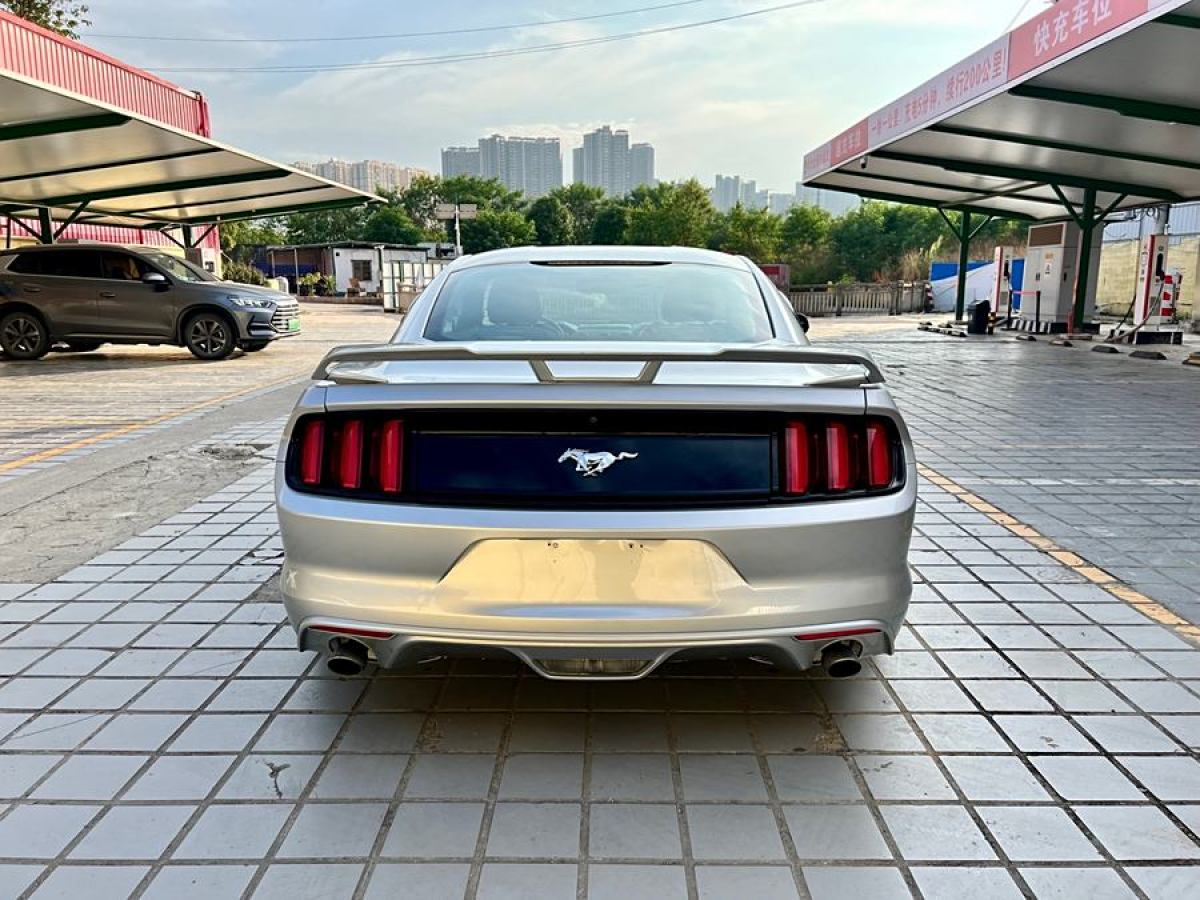 福特 Mustang  2015款 2.3T 50周年紀念版圖片