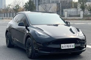 Model Y 特斯拉 改款 后輪驅(qū)動版