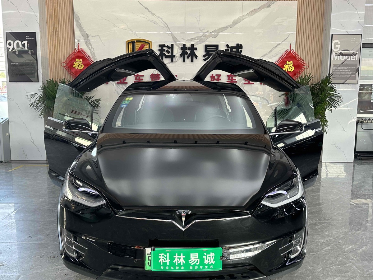 特斯拉 Model X  2016款 Model X 75D圖片