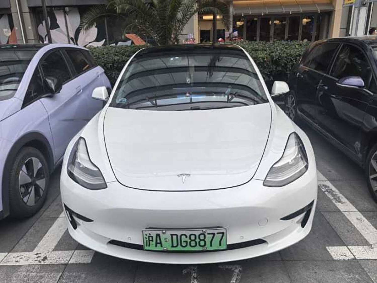 特斯拉 Model 3  2020款 改款 標(biāo)準(zhǔn)續(xù)航后驅(qū)升級(jí)版圖片