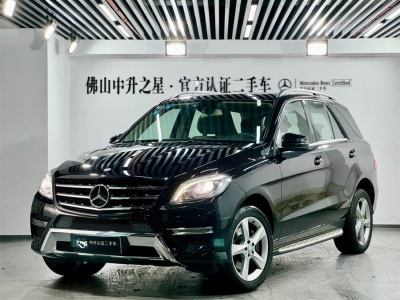 2015年10月 奔馳 奔馳M級(進(jìn)口) ML 320 4MATIC圖片
