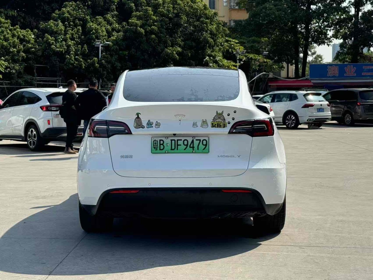 特斯拉 Model 3  2022款 后輪驅(qū)動版圖片