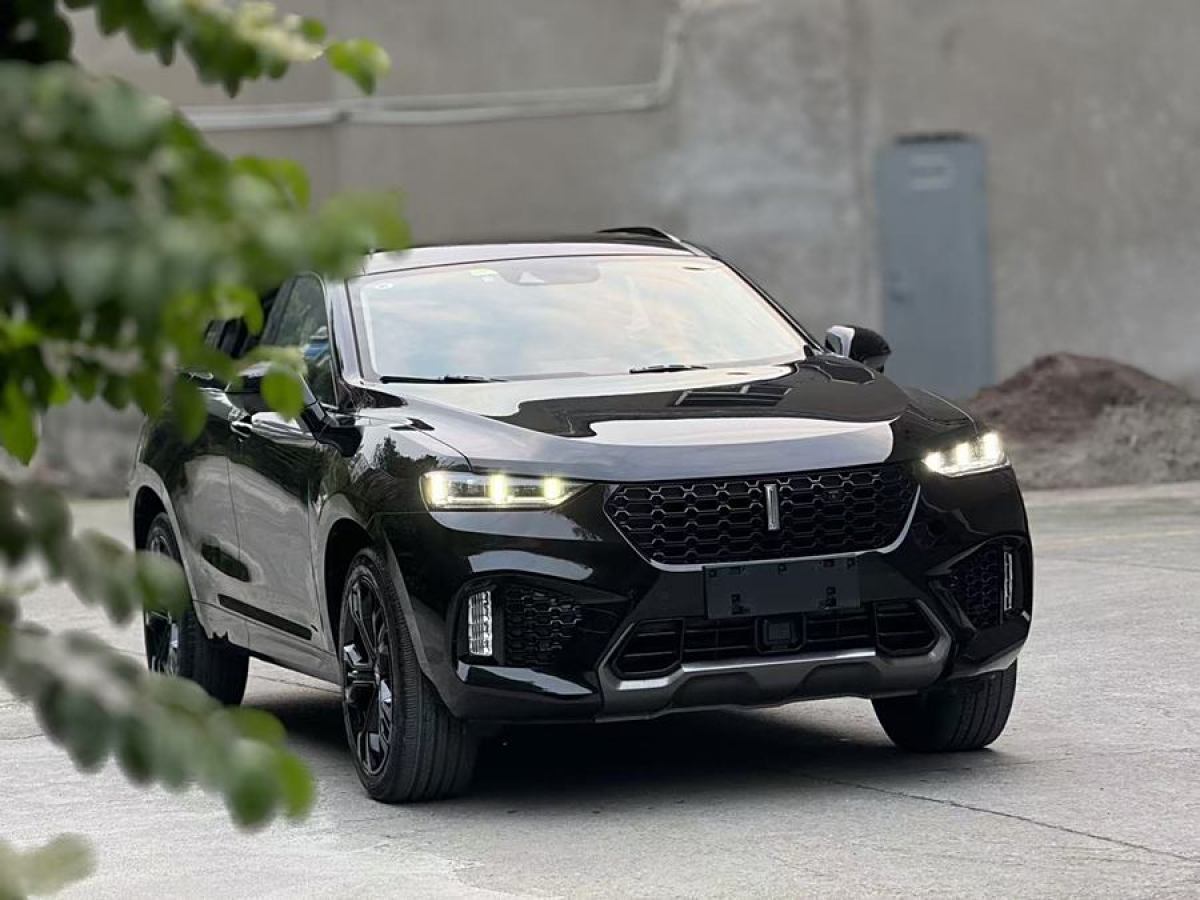 WEY VV7  2019款 升級款 2.0T 旗艦型圖片