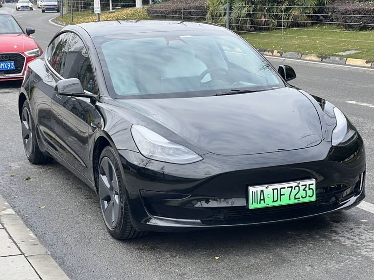 特斯拉 Model 3  2021款 改款 標(biāo)準(zhǔn)續(xù)航后驅(qū)升級版圖片