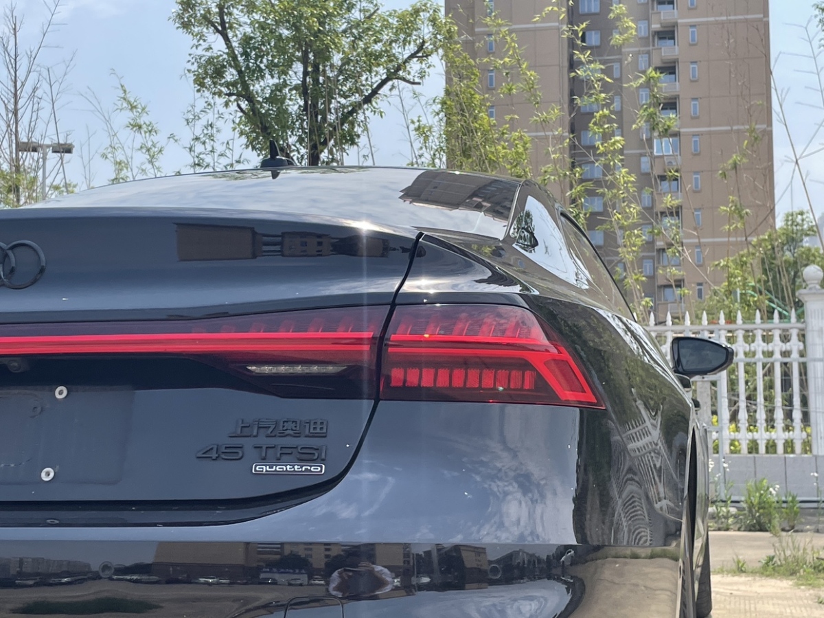 2023年6月奧迪 奧迪A7L  2023款 45 TFSI quattro S-line 黑武士版