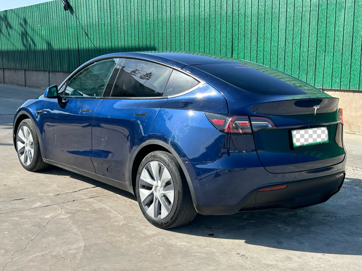 特斯拉 Model 3  2020款 改款 長續(xù)航后輪驅動版圖片