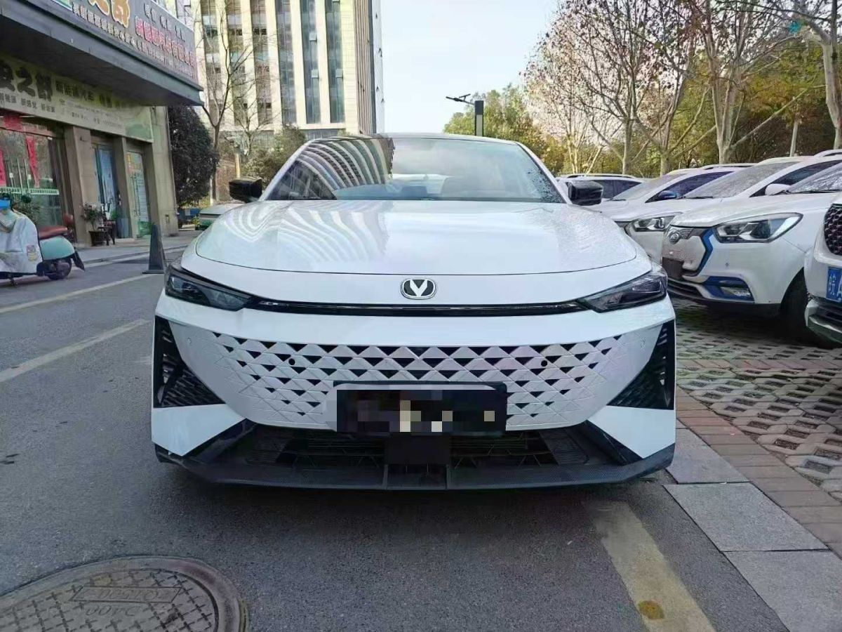 長安跨越 新豹T3 EV  2024款 單排豪華版 倉柵車圖片