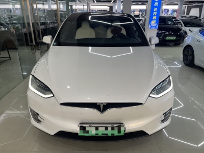 2020年8月 特斯拉 Model X 长续航升级版图片