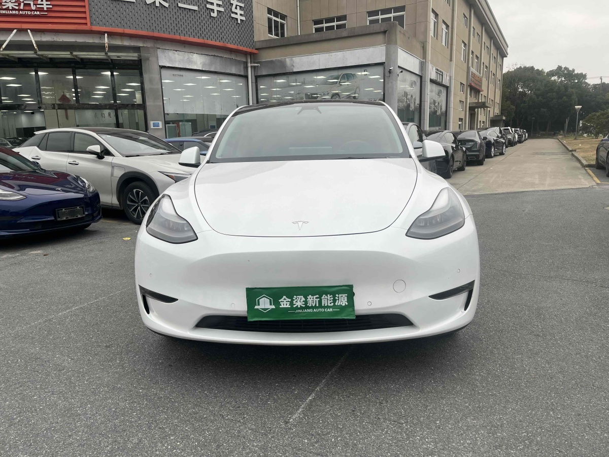 特斯拉 Model Y  2021款 長續(xù)航全輪驅(qū)動版 3D7圖片