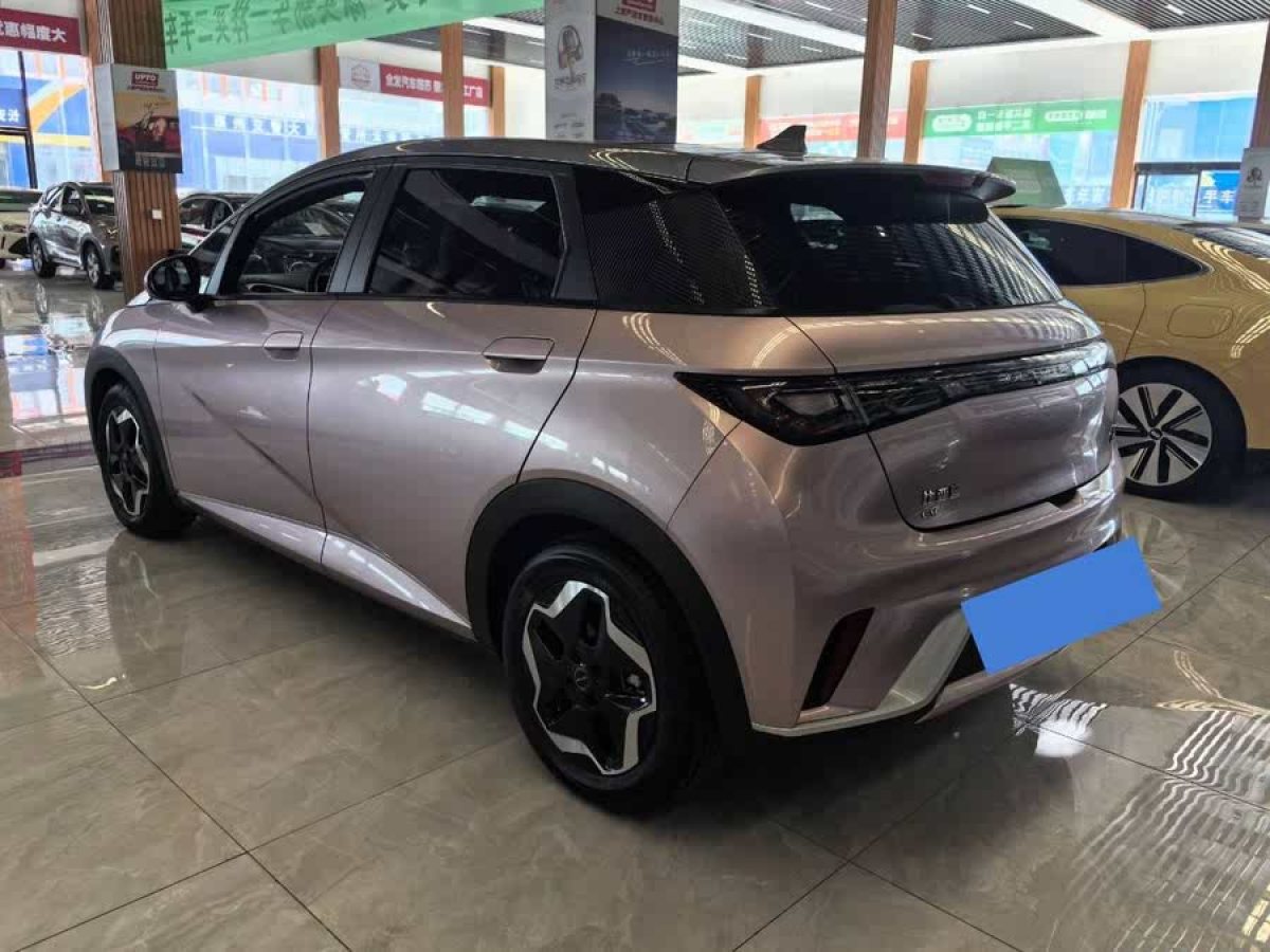 比亞迪 海豚  2021款 405km 時尚版圖片