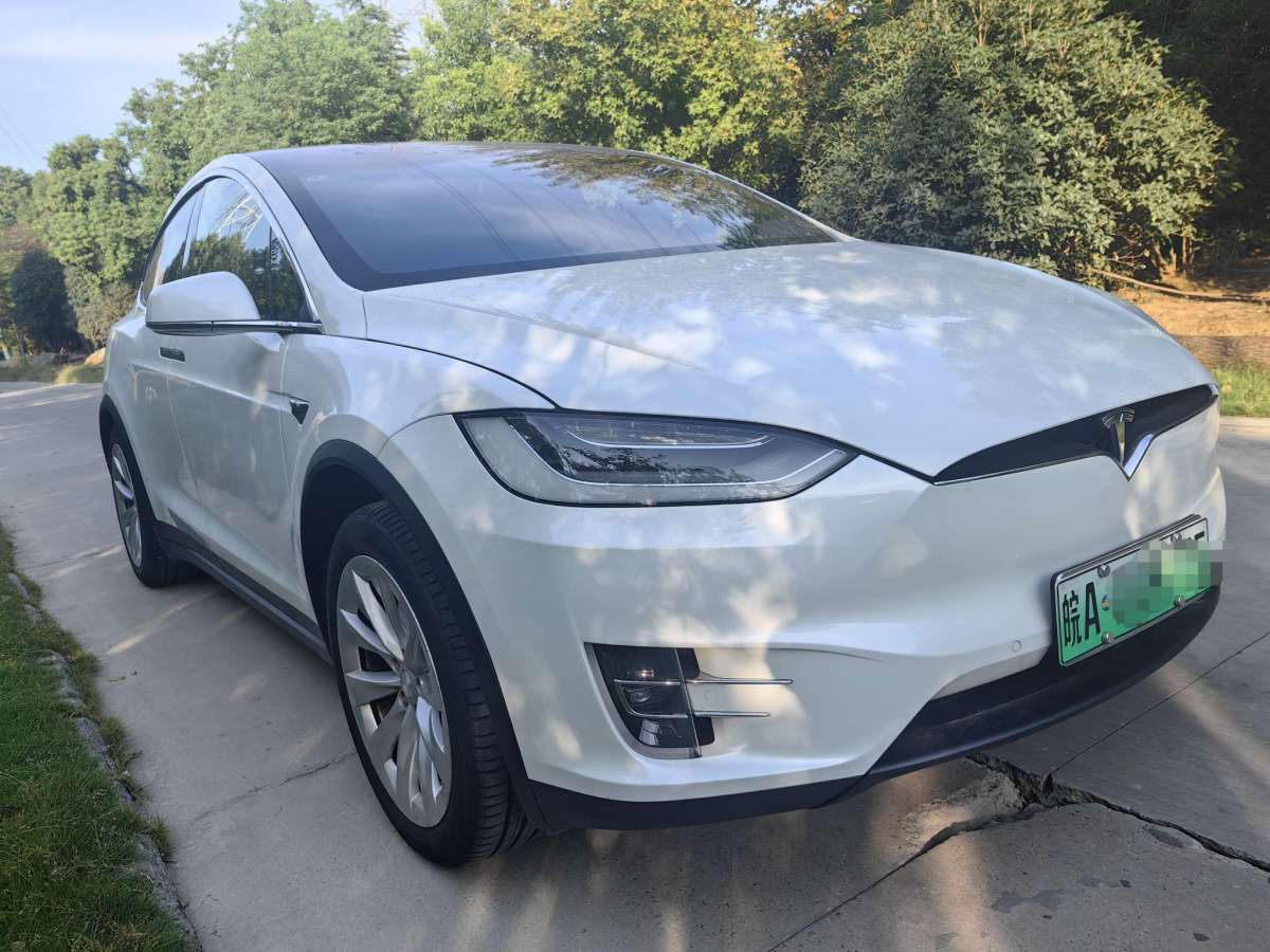 特斯拉 Model X  2021款 長(zhǎng)續(xù)航升級(jí)版圖片