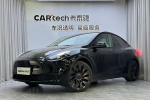 Model 3 特斯拉 Performance高性能全輪驅(qū)動(dòng)版