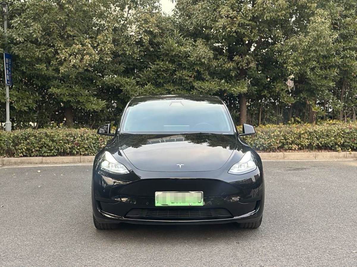 特斯拉 Model 3  2022款 后輪驅(qū)動版圖片