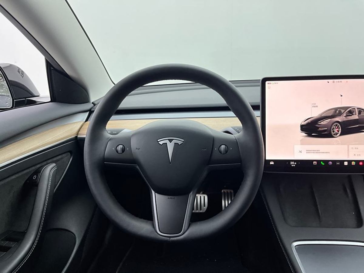 特斯拉 Model 3  2022款 Performance高性能全輪驅(qū)動版圖片