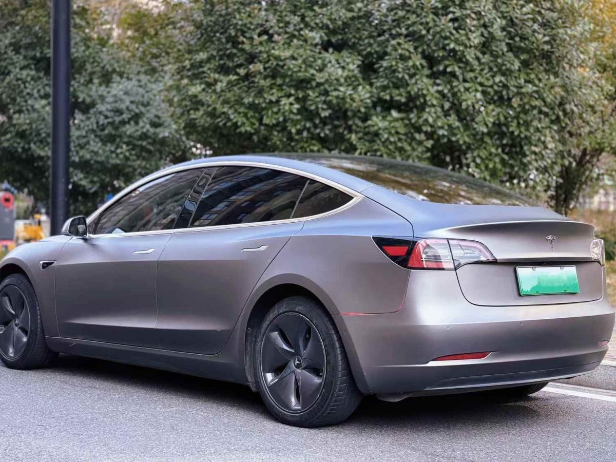 特斯拉 Model 3  2020款 標(biāo)準(zhǔn)續(xù)航后驅(qū)升級版圖片