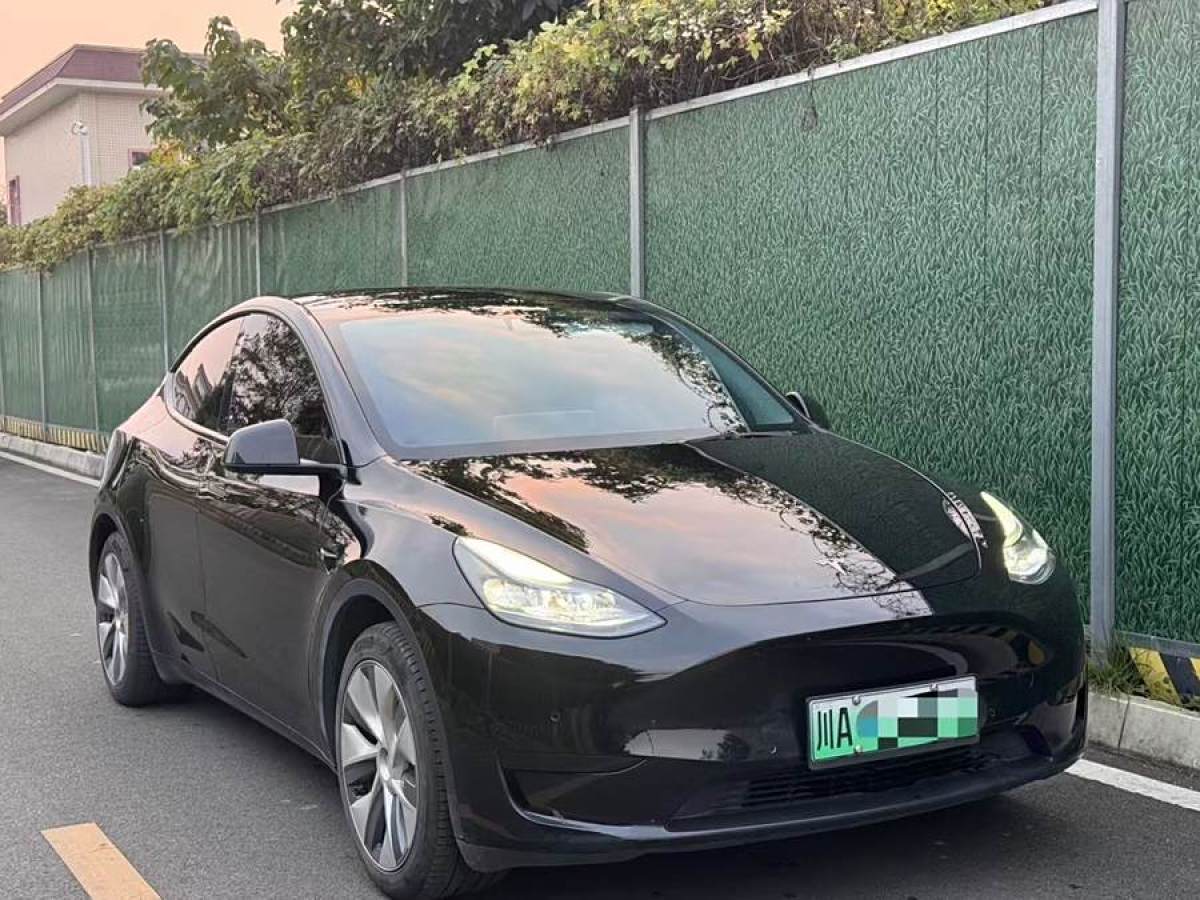 特斯拉 Model 3  2020款 改款 長續(xù)航后輪驅動版圖片